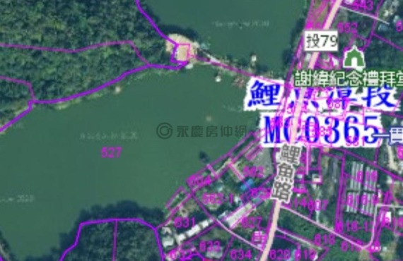 鯉魚潭風景區｜1707休閒農地+可分割賣