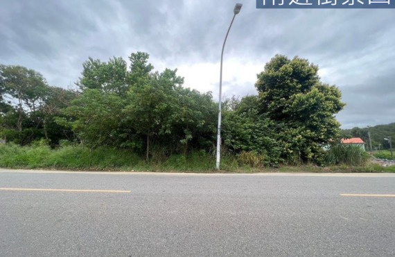 南隘國小|大面寬臨路美農地