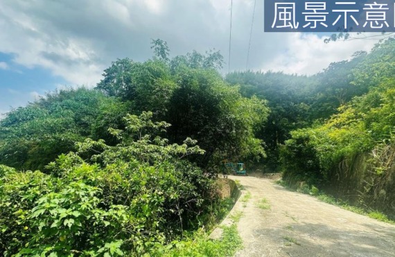 峨嵋稀有超大地坪景觀農地