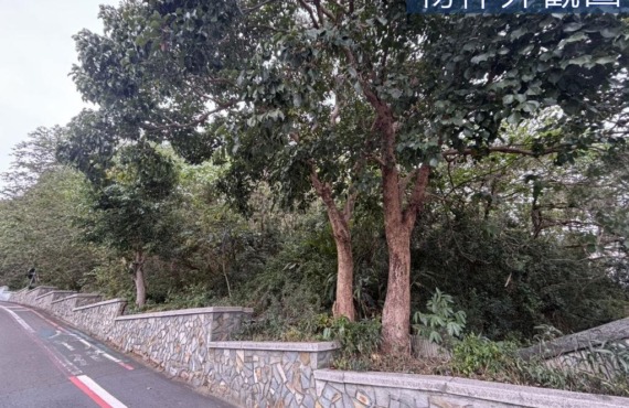 青草湖農地(出價談)