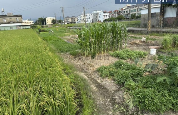 苗栗方正漂亮農地