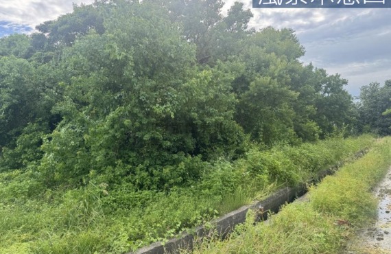 南寮天府路旁投資美農地