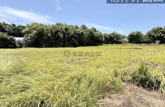 信義段 都計內持分農地