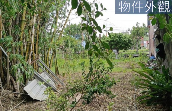 台一線旁大面寬農地｜低總價輕鬆置產