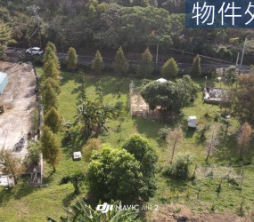 稀有!!鳥語花香朝南大面寬農+建