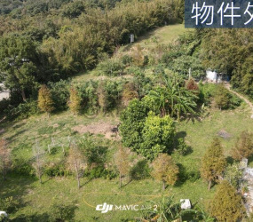 稀有!!鳥語花香朝南大面寬農+建