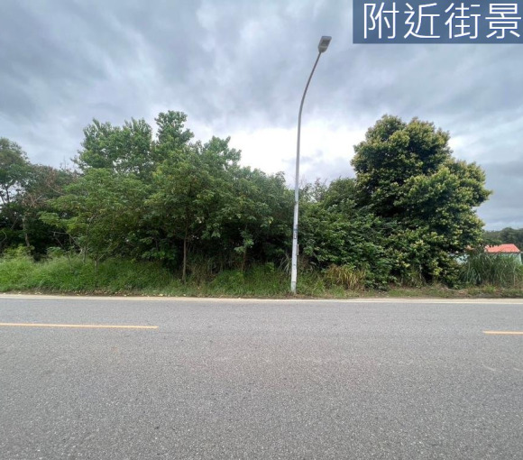南隘國小|大面寬臨路美農地