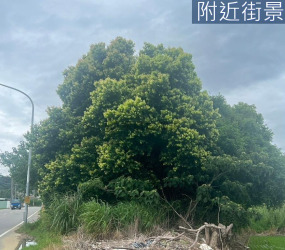 南隘國小|大面寬臨路美農地