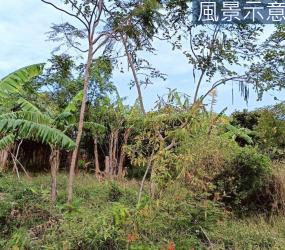 香山中華路都市計劃內雙邊臨路農地