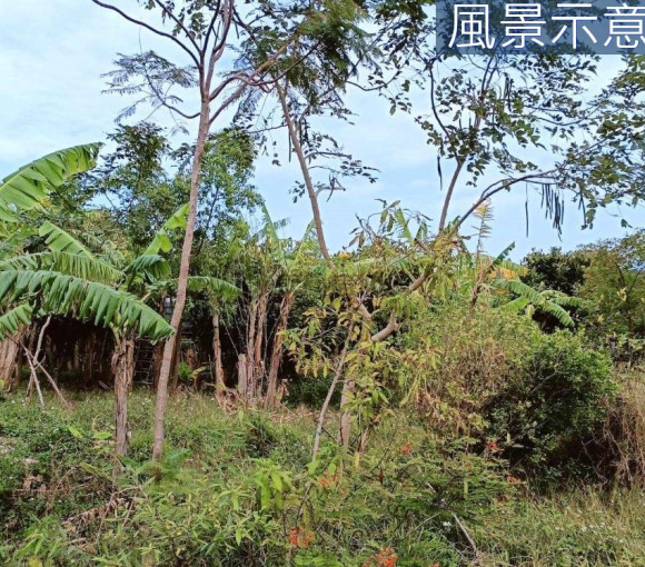 香山中華路都市計劃內雙邊臨路農地