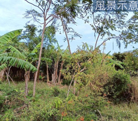 香山中華路都市計劃內雙邊臨路農地