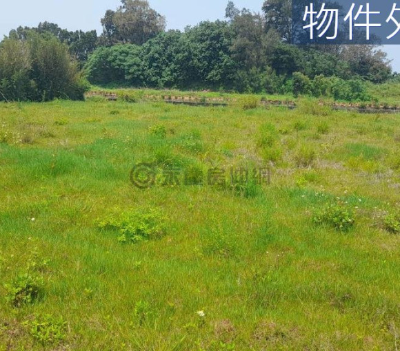 大山交流道後龍苦苓腳段投資田B