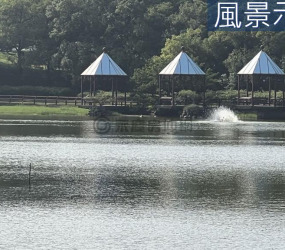 如新時光｜科技城心1+1房靜謐居所《近園區》
