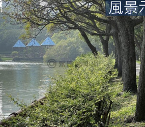 如新時光｜科技城心1+1房靜謐居所《近園區》