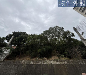 青草湖農地(出價談)
