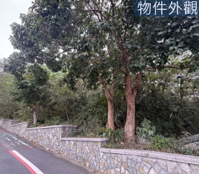 青草湖農地(出價談)