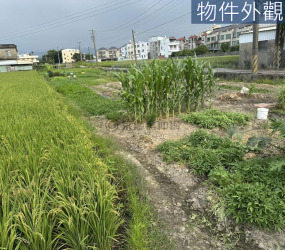 苗栗方正漂亮農地