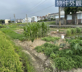 苗栗方正漂亮農地