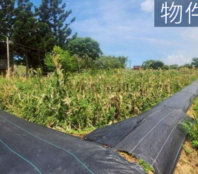 湖口市區旁合法資材室三