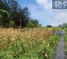 湖口市區旁合法資材室三