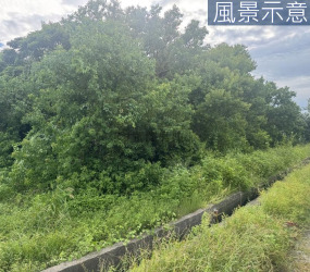 南寮天府路旁投資美農地