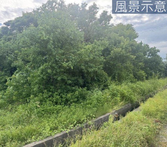 南寮天府路旁投資美農地