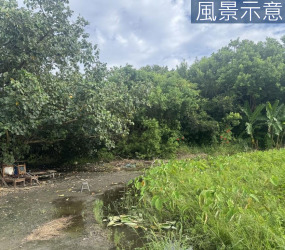南寮天府路旁投資美農地