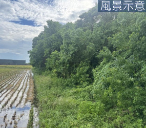 南寮天府路旁投資美農地