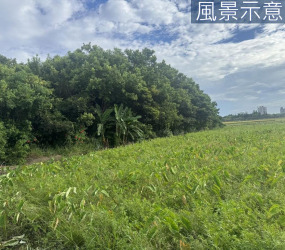 南寮天府路旁投資美農地