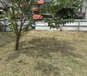 中正建地