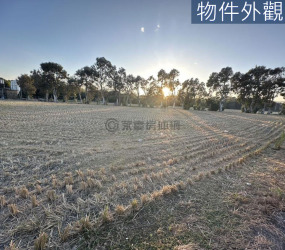 竹北中正西路｜臨路百米大面寬千坪潛力農地