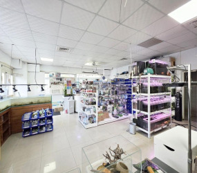竹北環北｜醒目黃金三角窗店面《挑高、大空間》