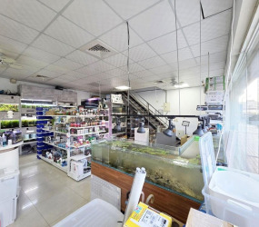 竹北環北｜醒目黃金三角窗店面《挑高、大空間》