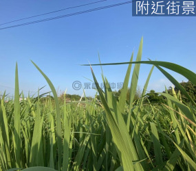 隆恩田｜千甲車站旁 × 科專區潛力田