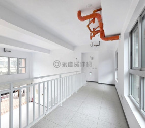 嘉定旬美｜全新珍藏大面寬店面《竹光西大熱絡商圈》