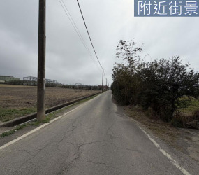 海埔段臨路大農地