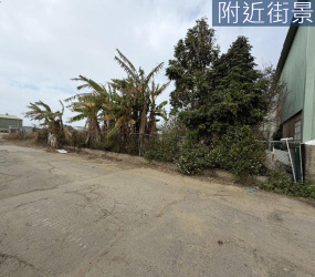 海埔段臨路大農地
