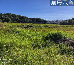 香山大湖國小旁美農地4