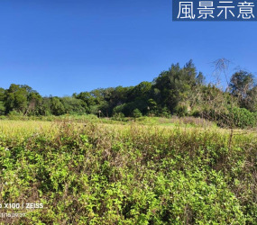 香山大湖國小旁美農地4