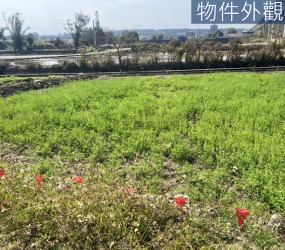 竹東中員臨路有水有電開心農場2