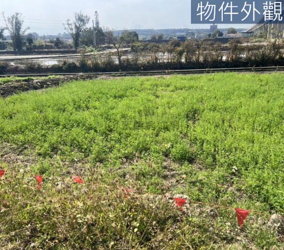 竹東中員臨路有水有電開心農場2