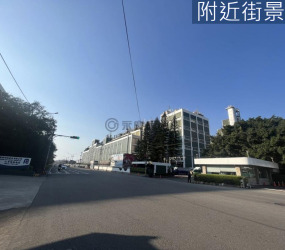 新埔關埔重劃區/大面寬/方正角地