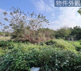 竹北豐田段開心農場