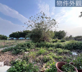 竹北豐田段開心農場