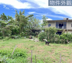 青埔子甲建223坪加農