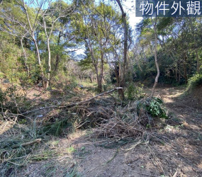 香山財神廟旁大湖路巷內有路田