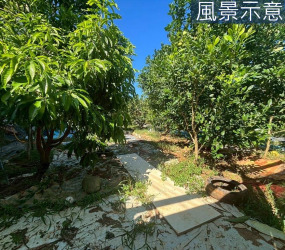 新豐埔頂臨路優質農地