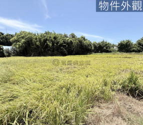 信義段 都計內持分農地