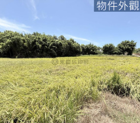 信義段 都計內持分農地