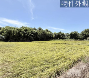 信義段 都計內持分農地